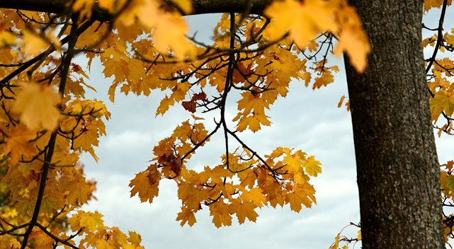 Fall Hazards